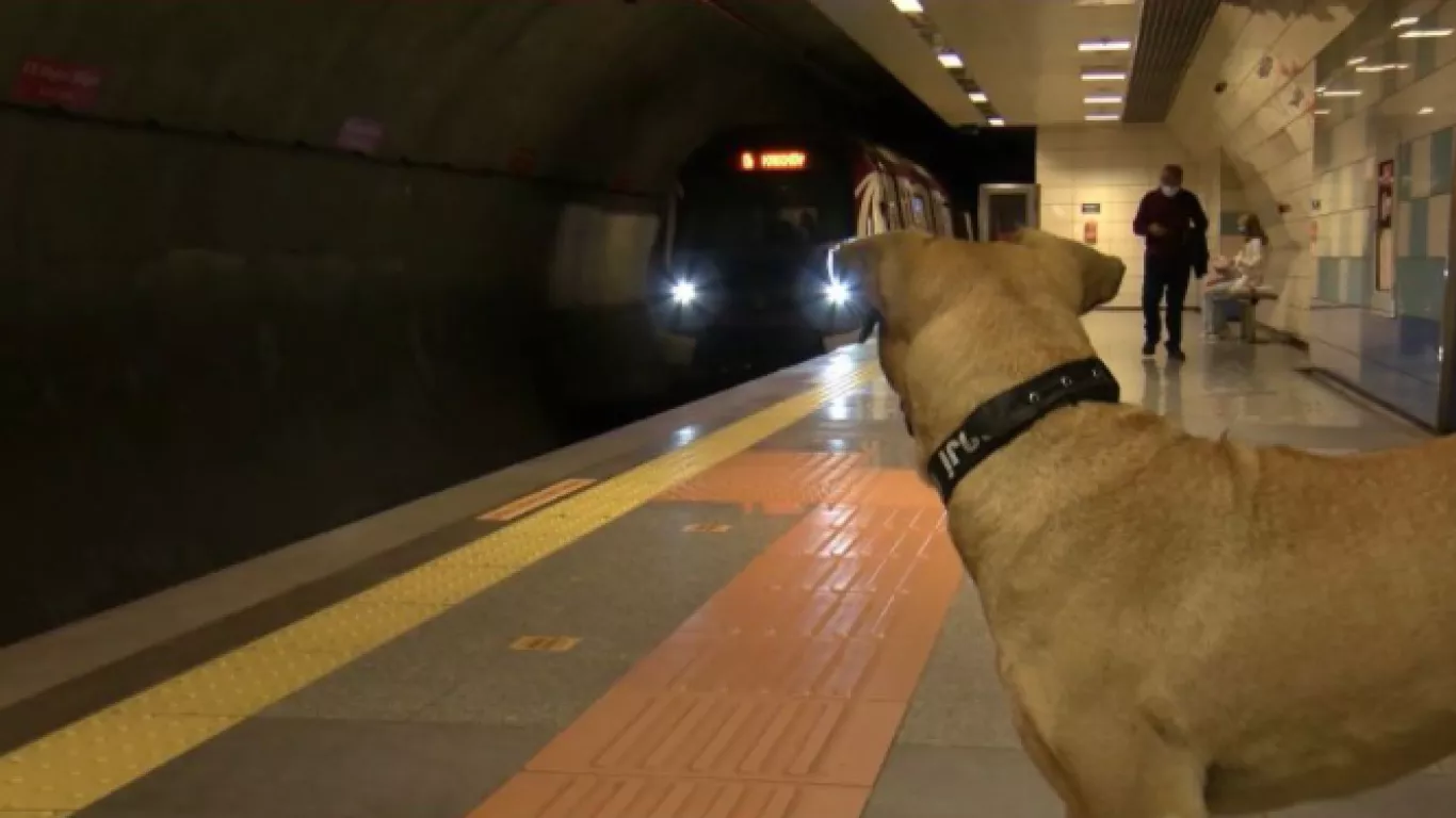 Boji en estación de metro