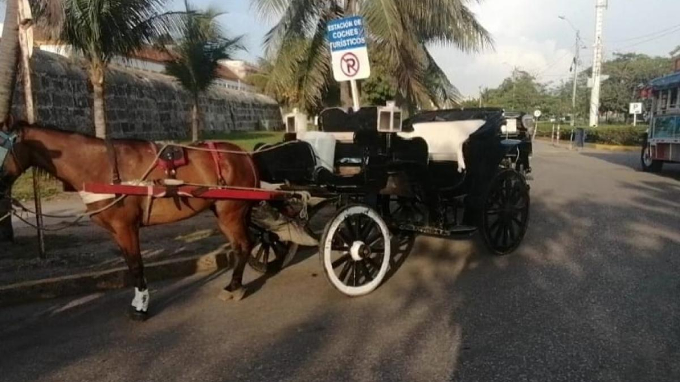 caballos cocheros