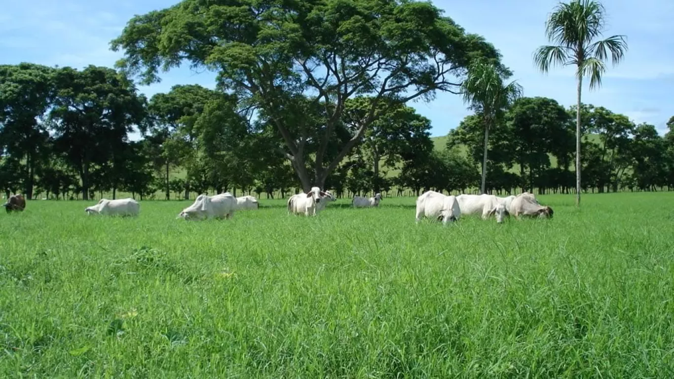 Córdoba Colombia