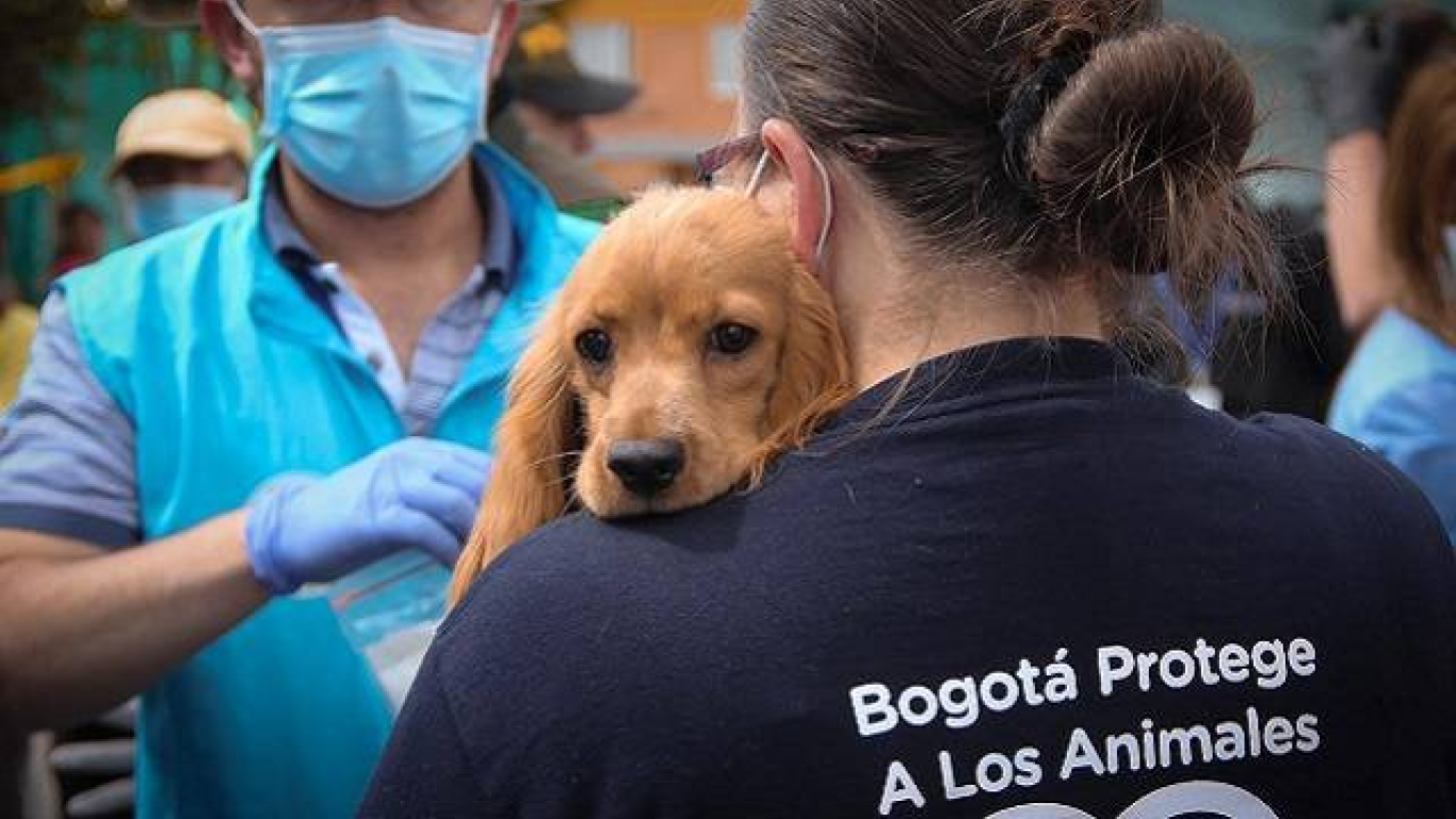 Bogotá tendrá el primer hospital público para mascotas