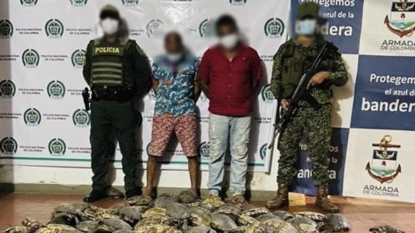 Capturados hombres que se dedicaban al tráfico de tortugas en Córdoba