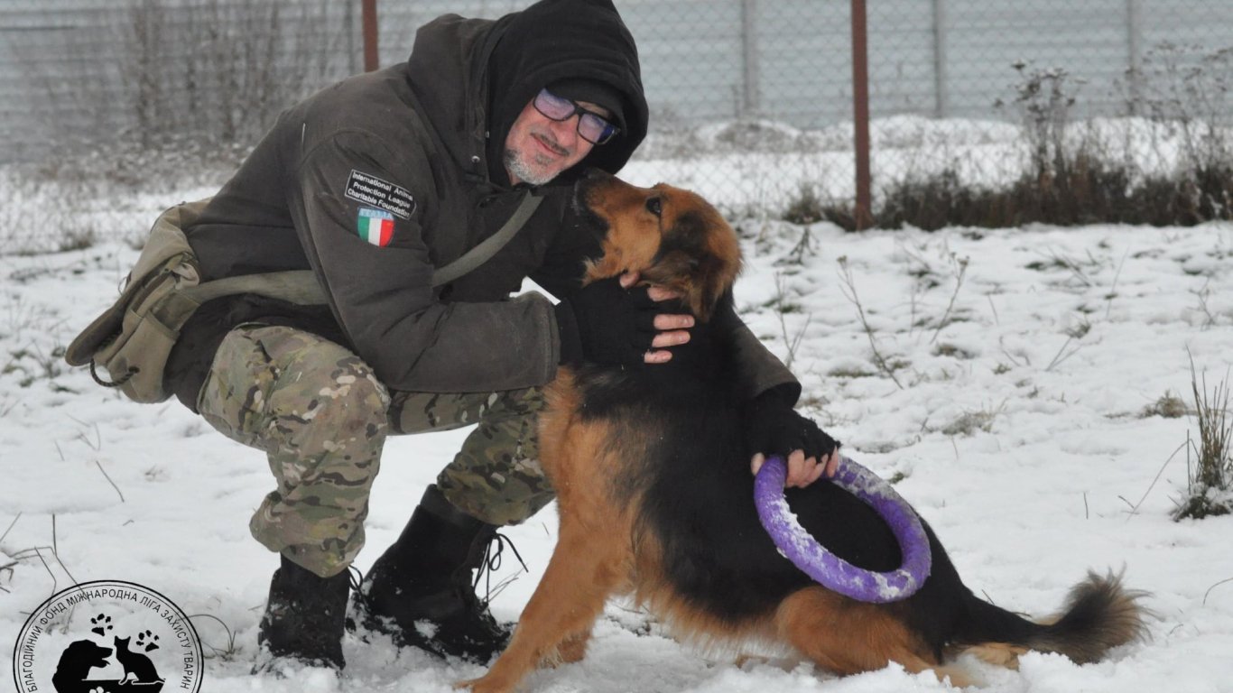 Los refugios de animales en medio de la guerra en Kiev
