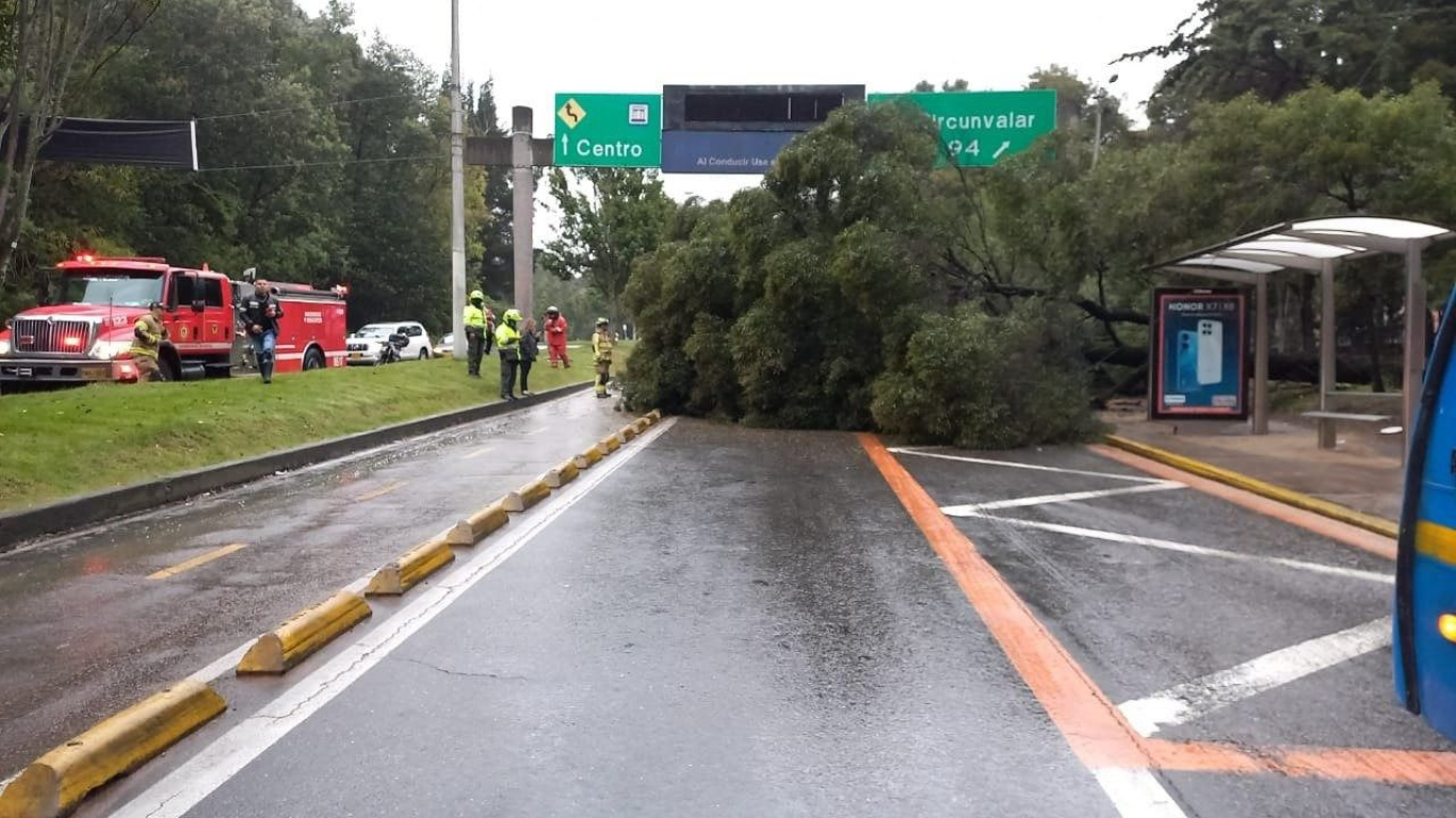 Bogotá: paso restringido en la calle 97 con carrera 7 por un árbol que cayó sobre un vehículo