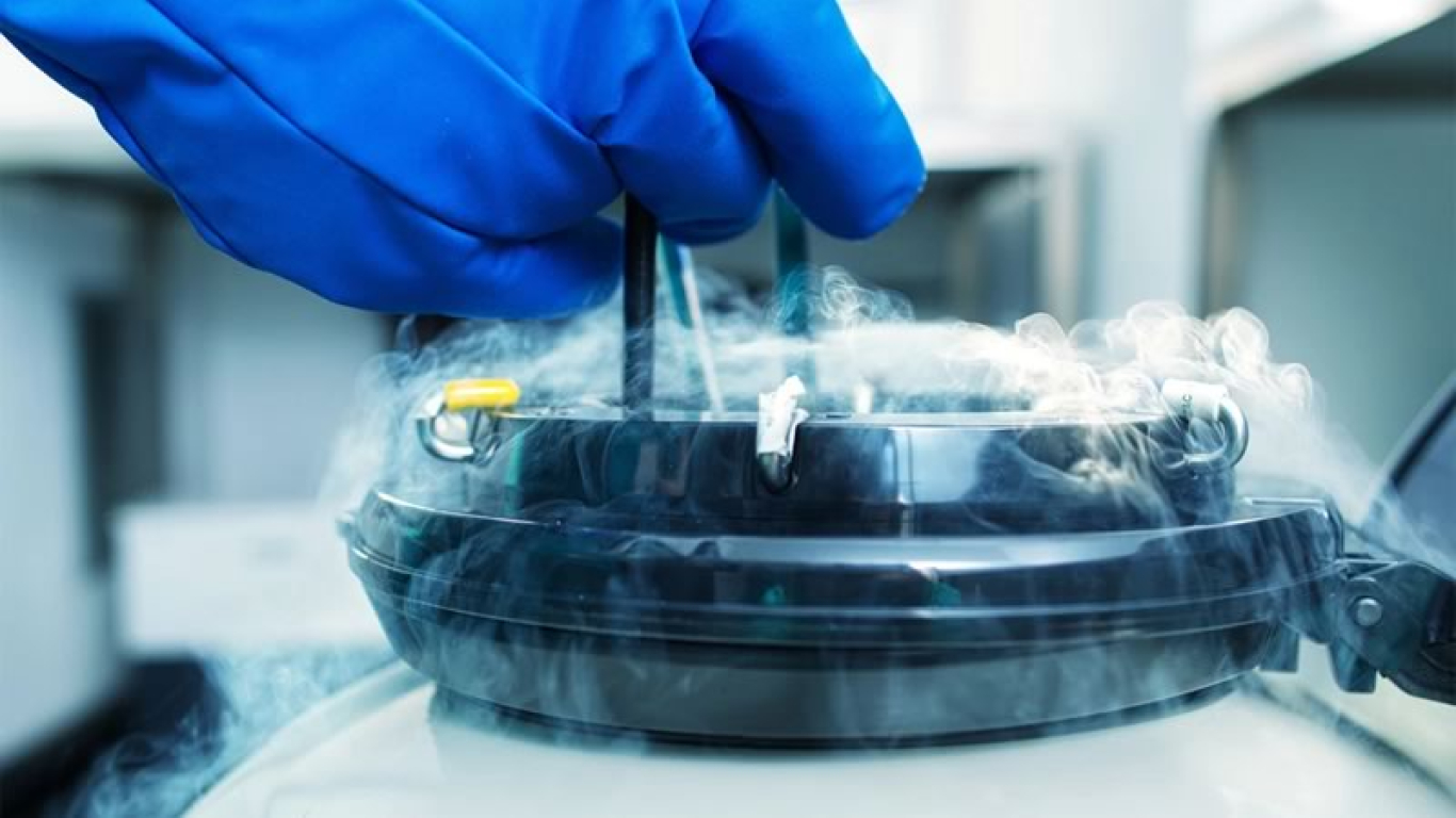 Más de 60 mil embriones congelados están abandonados