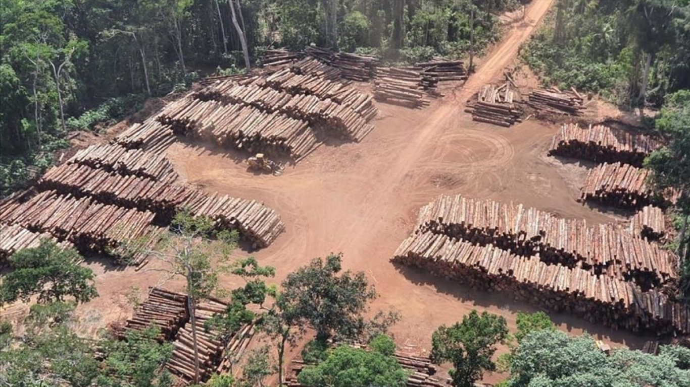 Abril dejó un nuevo récord en deforestación del Amazonas