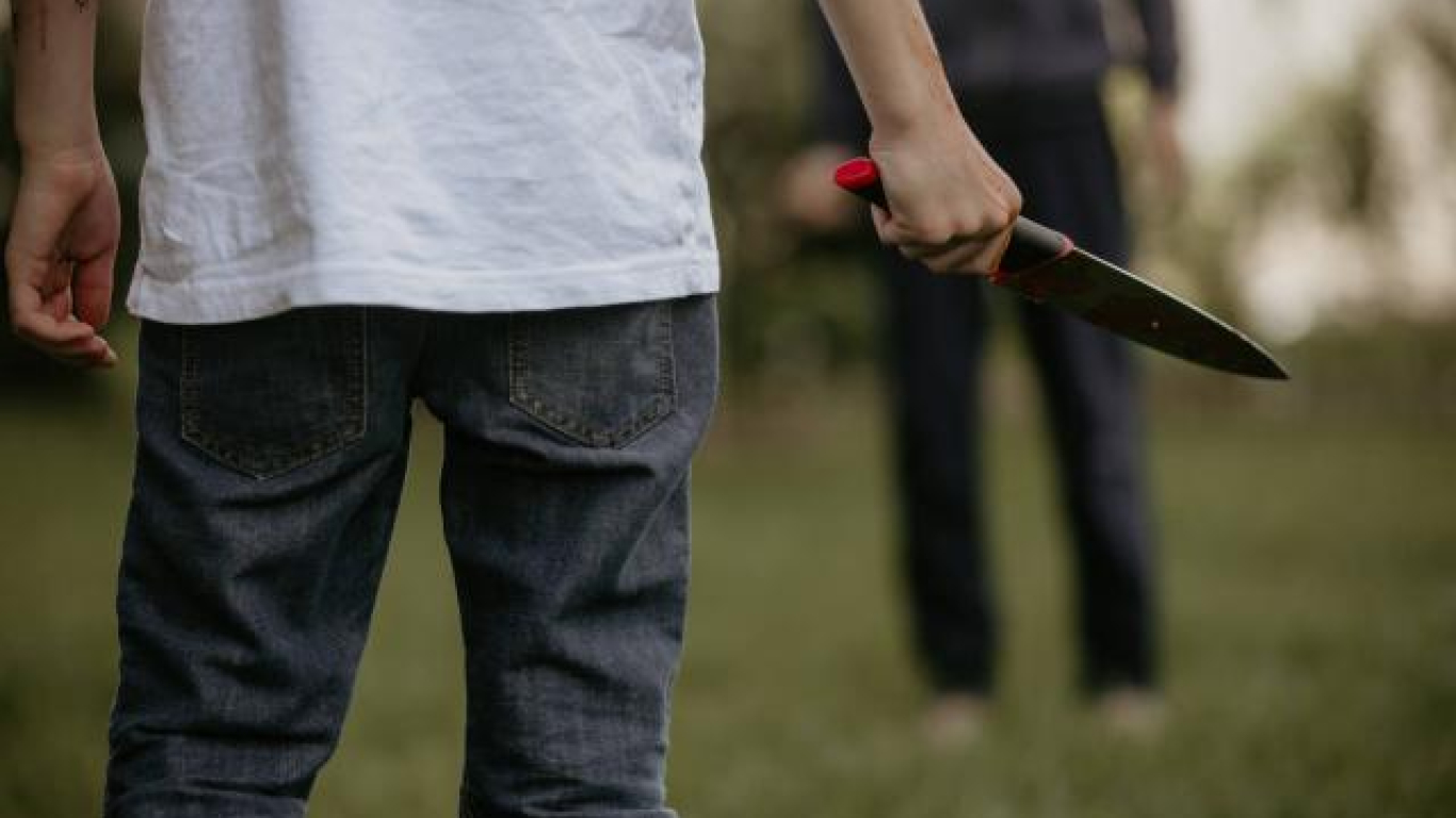Niño asesinó a compañero por un videojuego