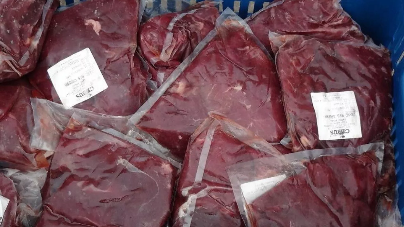 CARNE DE CABALLO