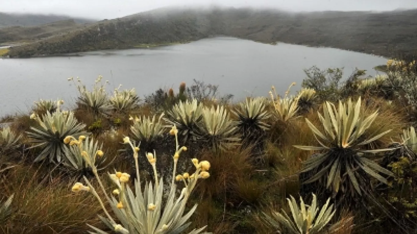 medida preventiva, Páramo de Sumapaz