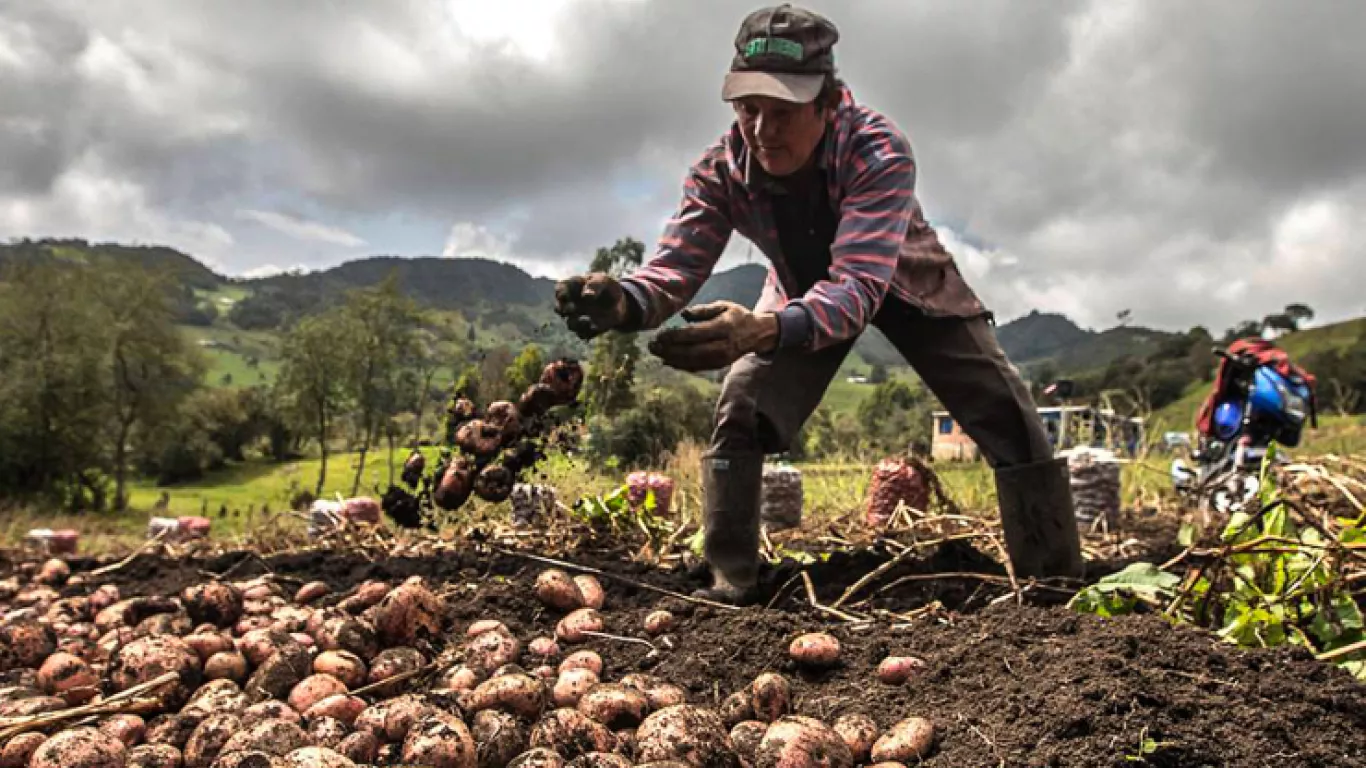 Petro insiste en modificar el marco fiscal para cumplir con la reforma agraria