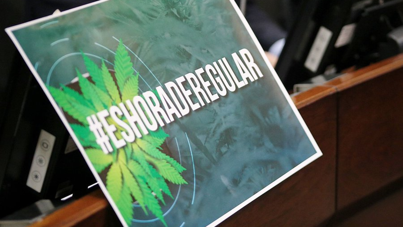 Regulación cannabis senado