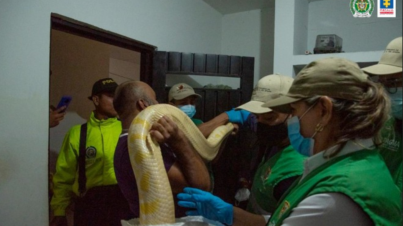 Capturan a los presuntos mayores comercializadores de fauna en Colombia