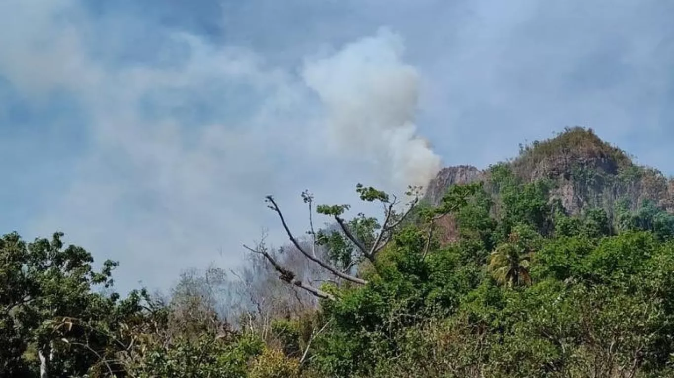 INCENDIO EN PROVIDENCIA