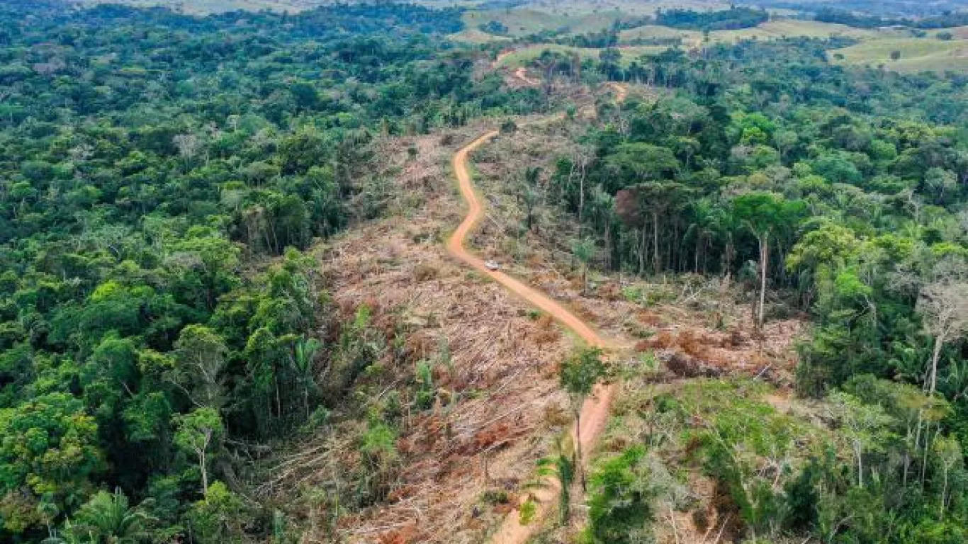 Bosques Colombia