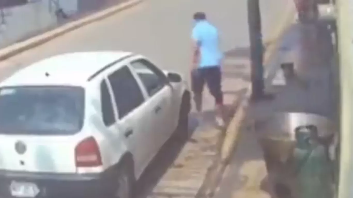 MALTRATO ANIMAL EN MÉXICO