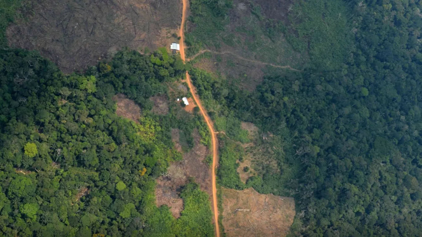 CARRETERA EN CALAMAR GUAVIARE