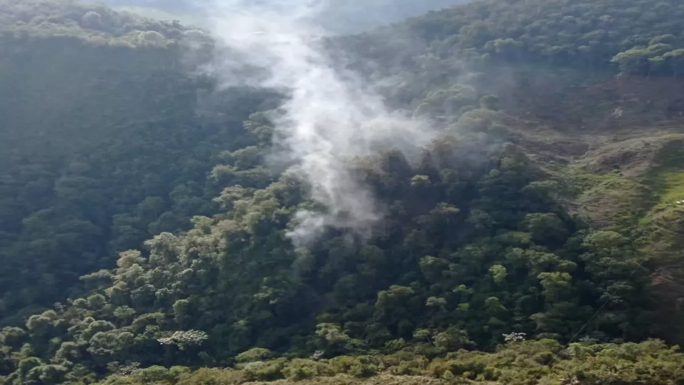 incendio forestal 