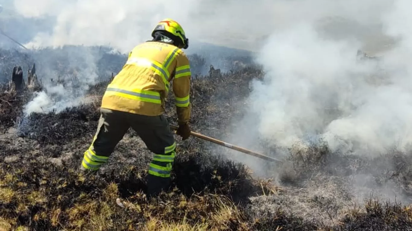 Bomberos incendio