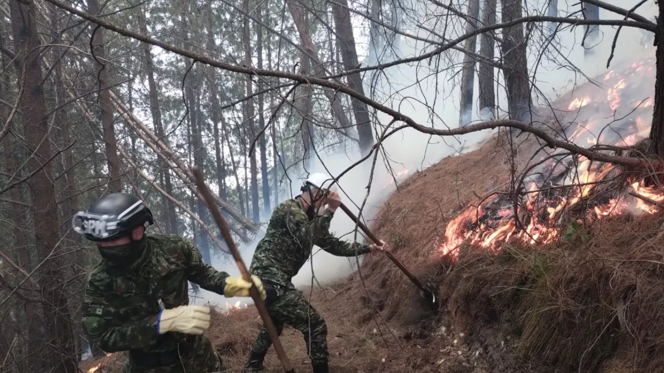 Incendio cerros Bta