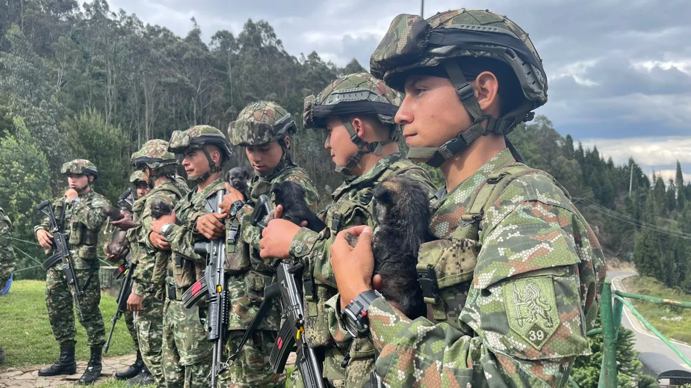 PERROS EJÉRCITO SIBATÉ