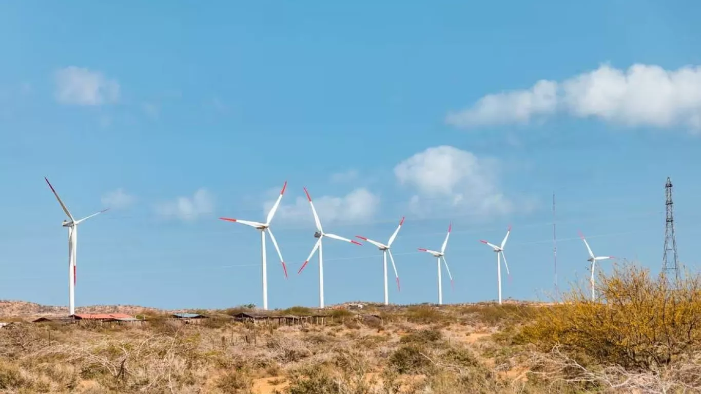 parque eólico