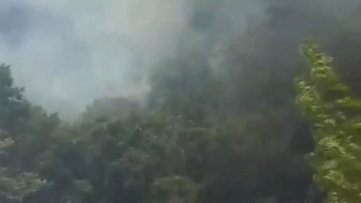 incendio Quindío mar 24