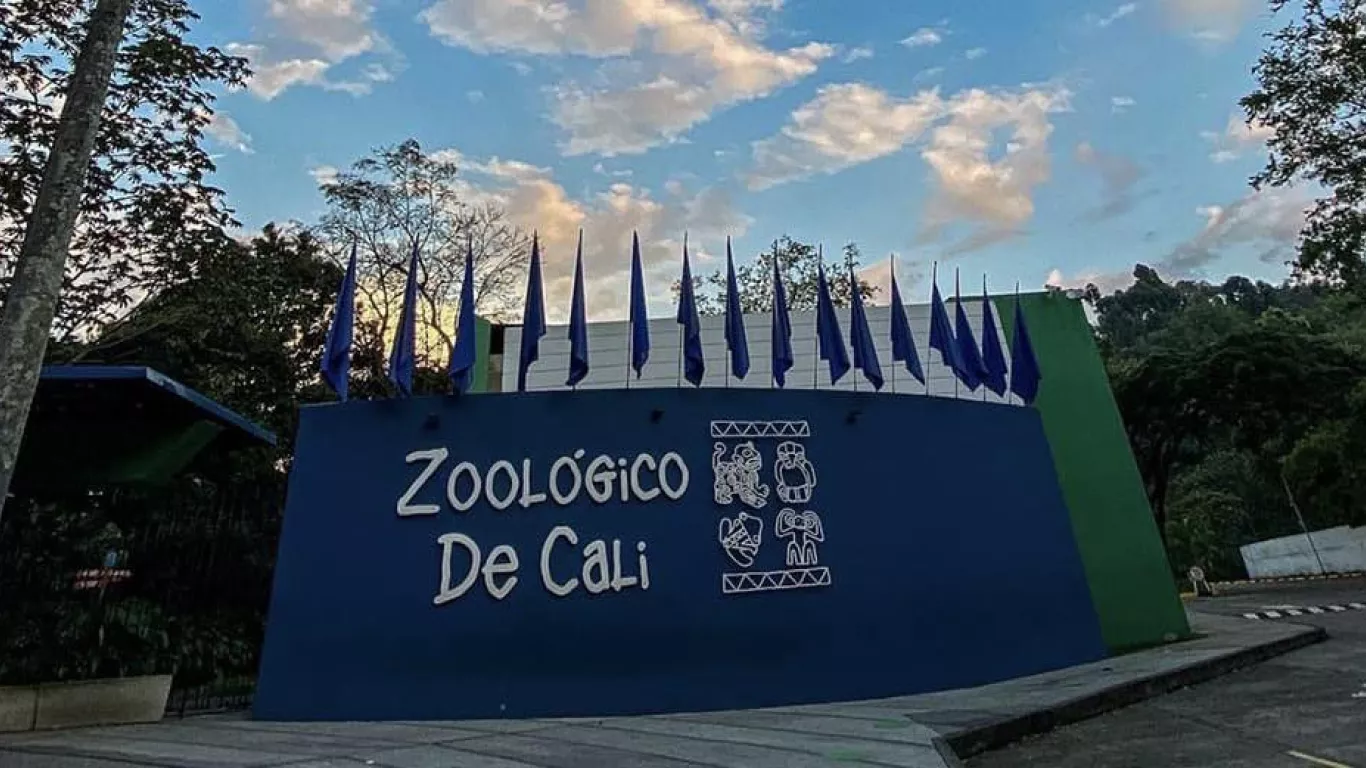 zoológico de cali 24