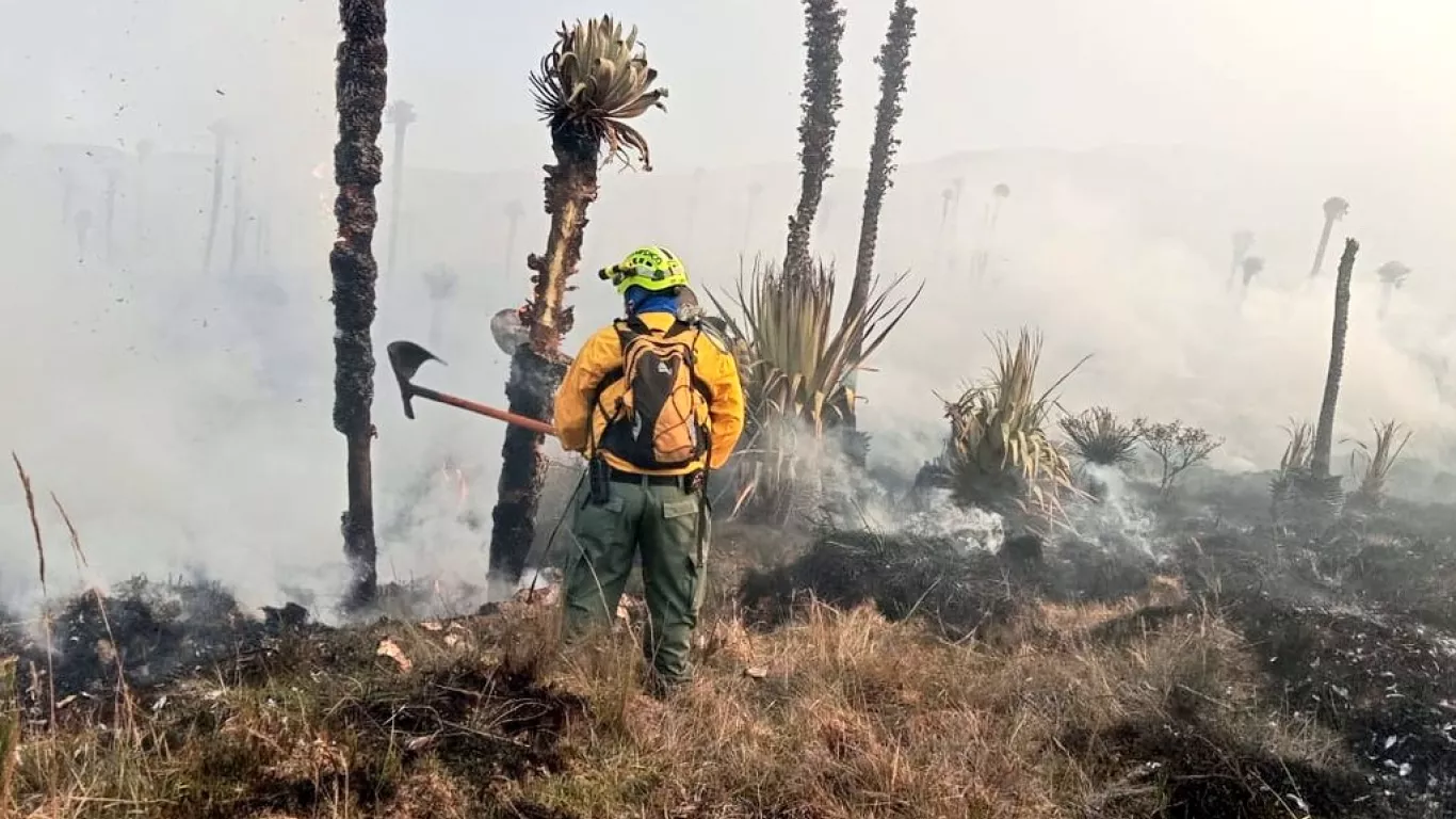 Incendio Páramo La Cortadera