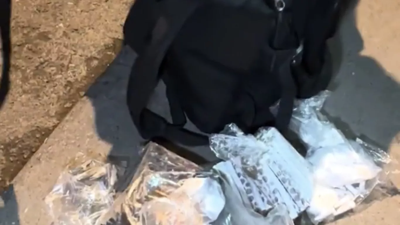 operativo san bernardo bta