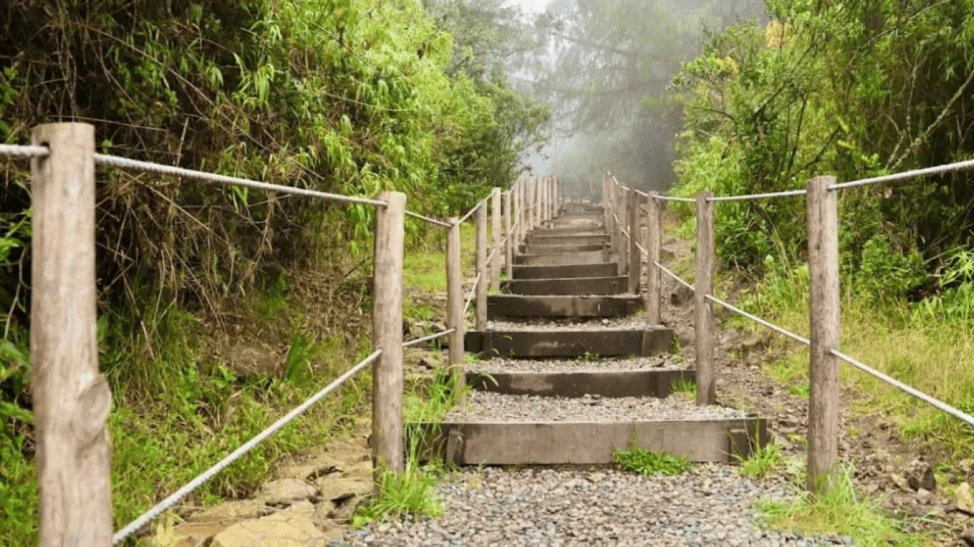 Camino a Monserrate Cerros Orientales