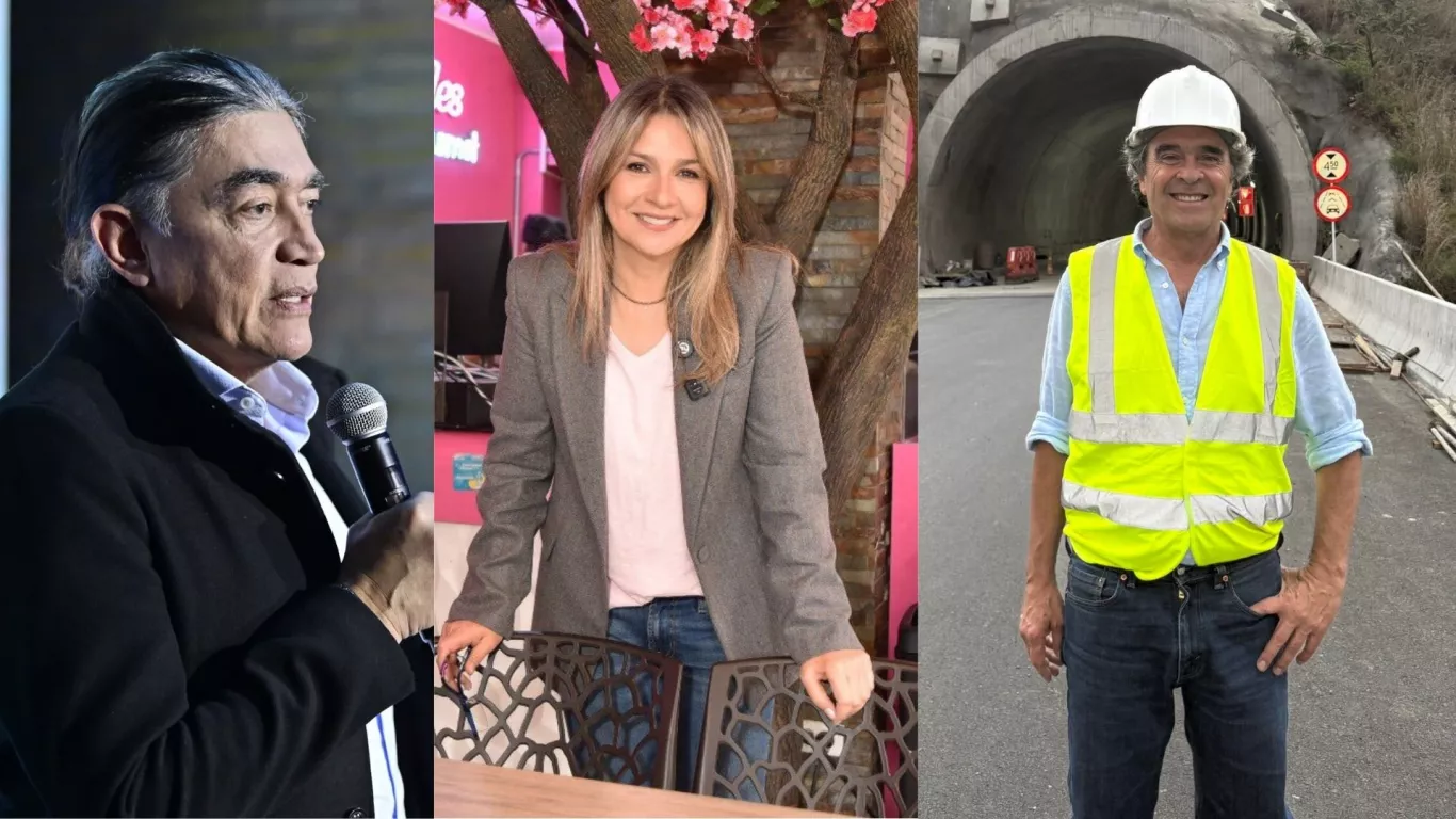 collage APi encuesta guarumo 