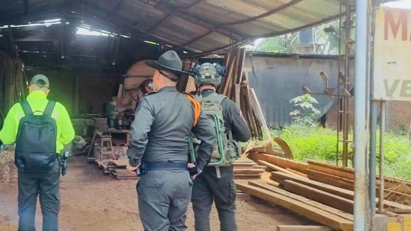 explotación de madera ilegal