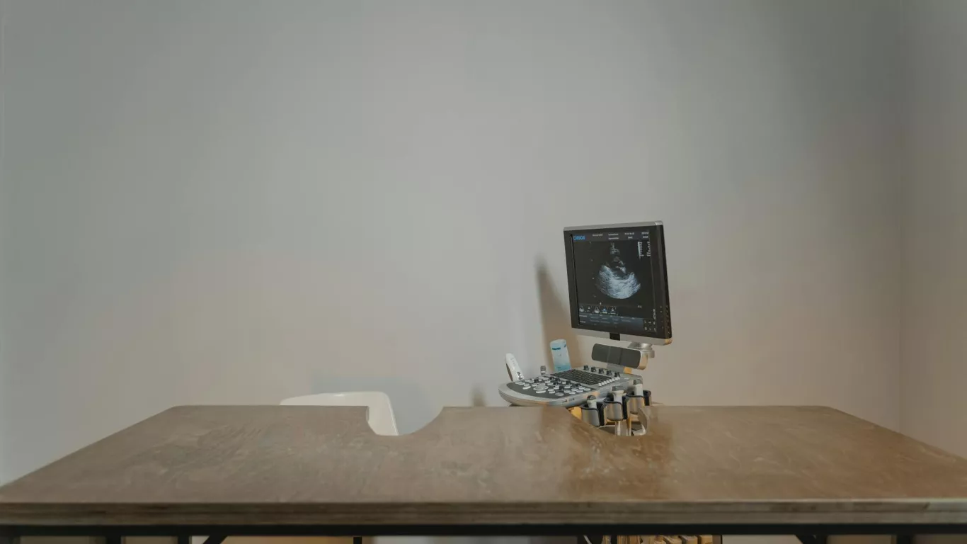 veterinaria pomeranian