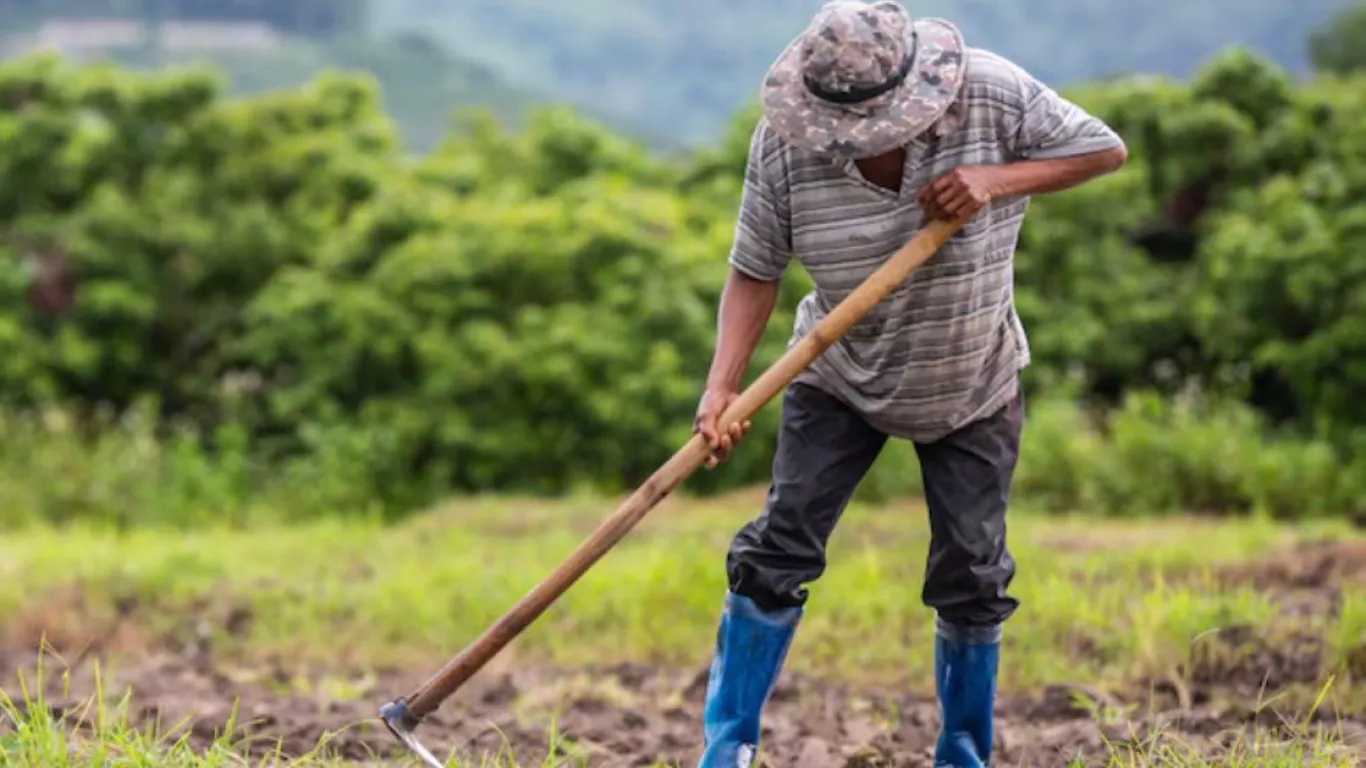 Agricultor colombiano