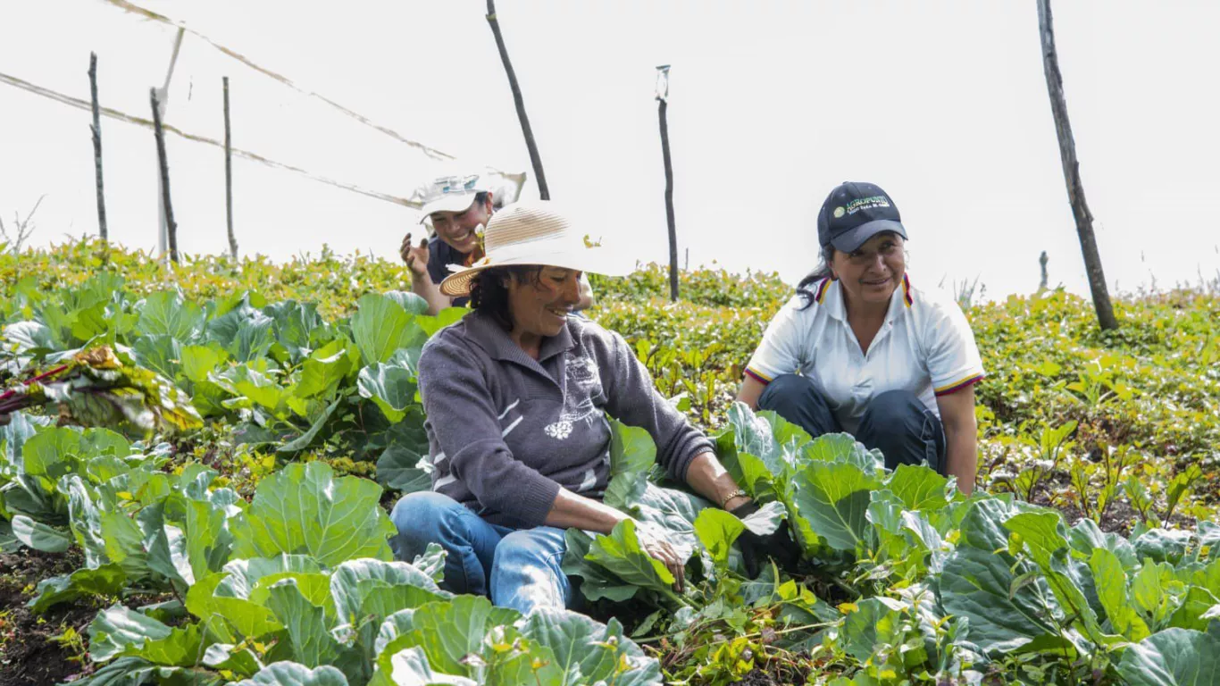 banco agrario dia del campesino
