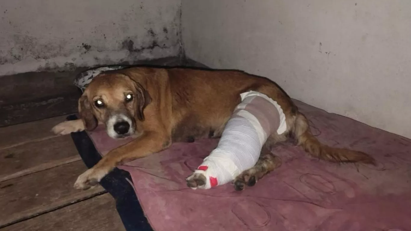 primera captura ley angel cundinamarca