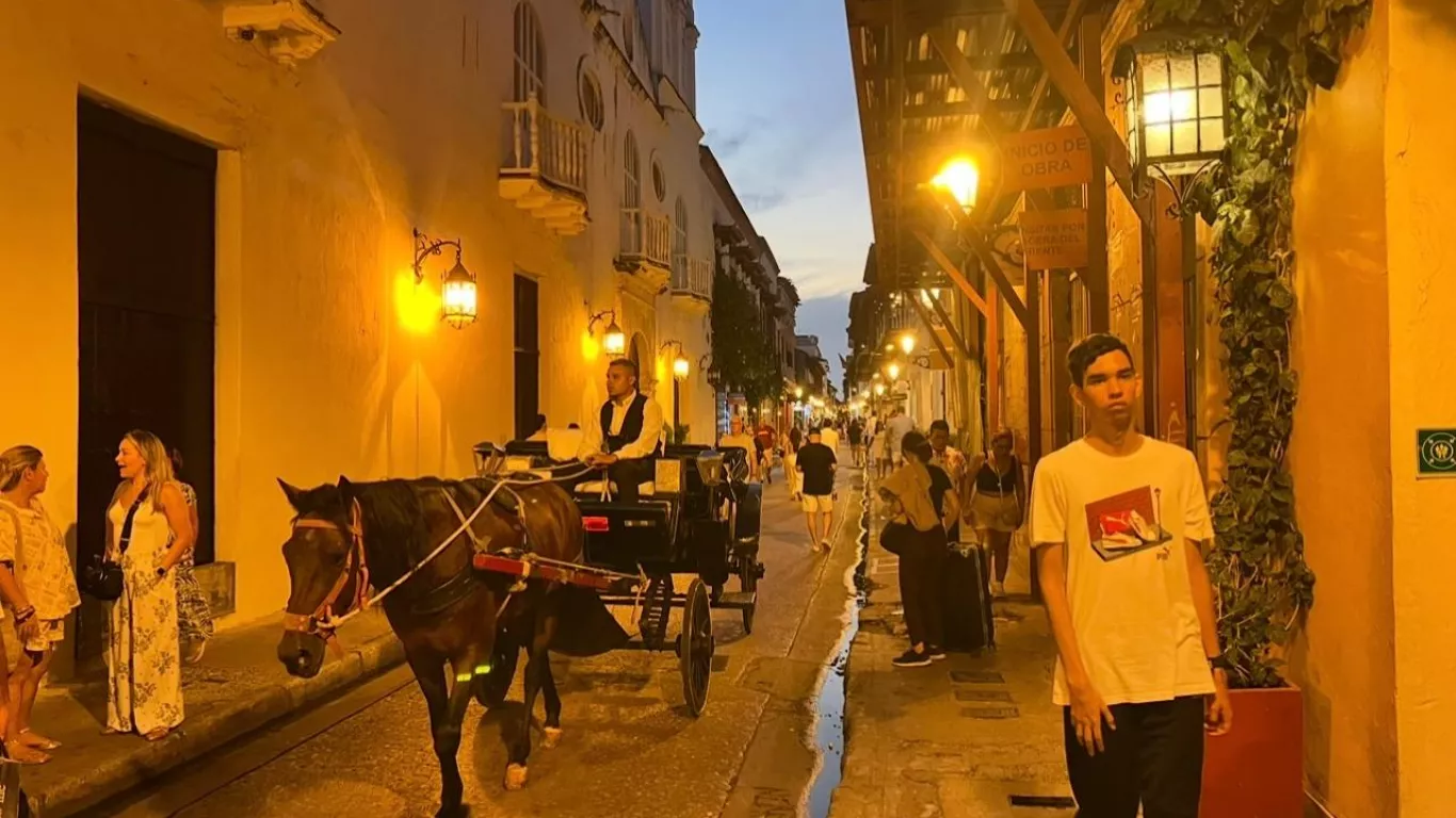 vehículos de tracción animal 25