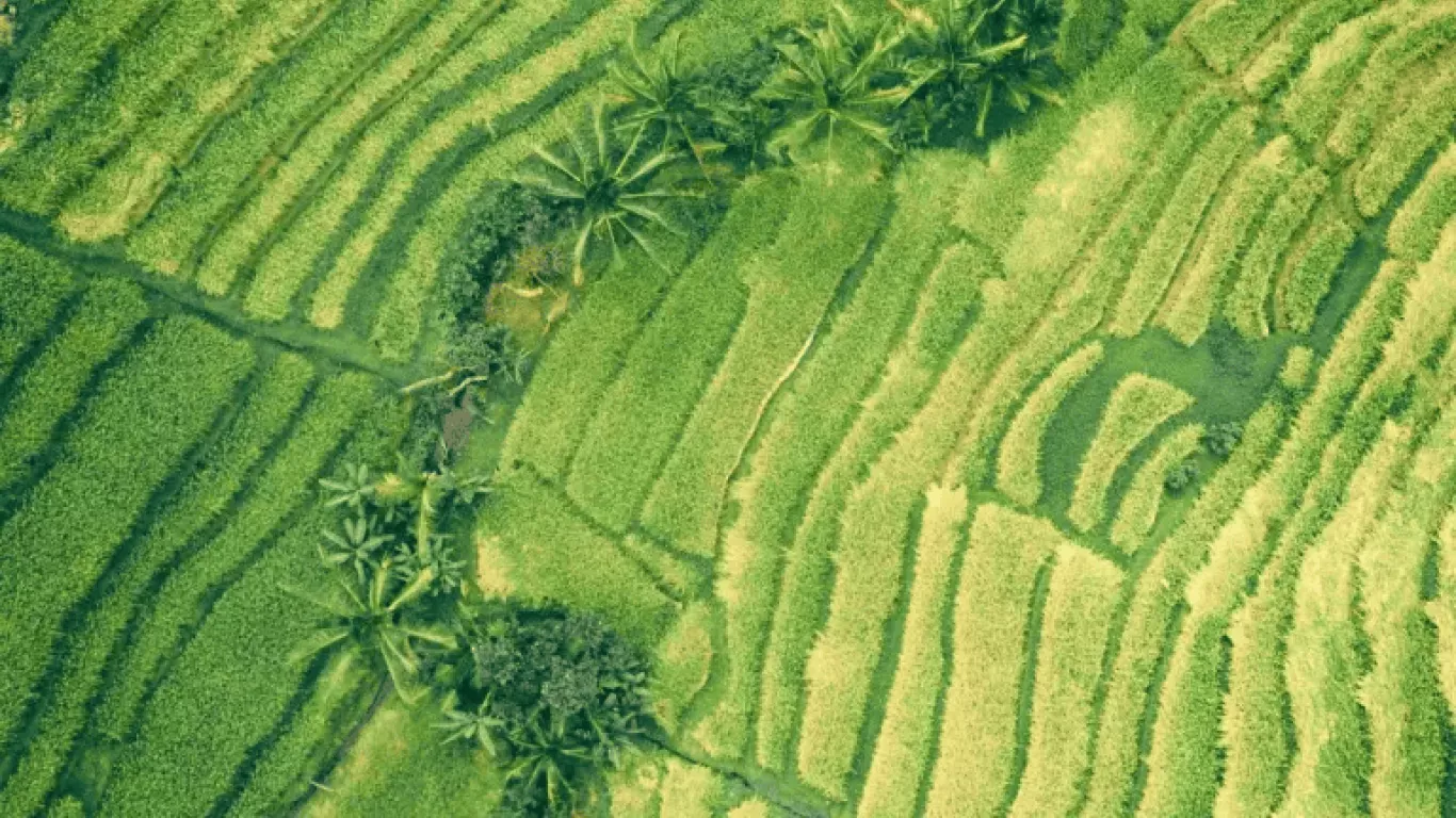 referencia frontera agricola