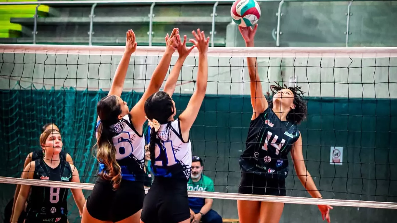 Voleibol femenino