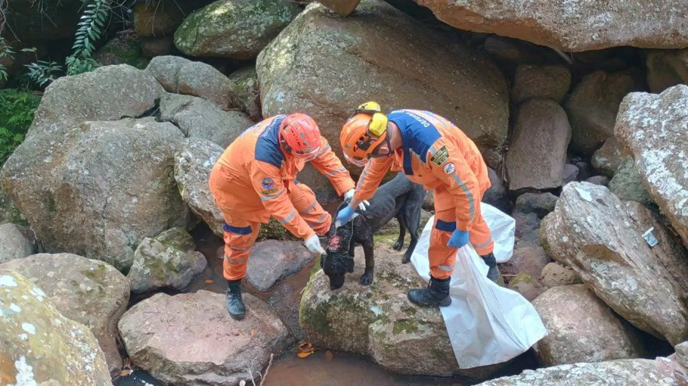 rescatan perro en cueva piedecuesta