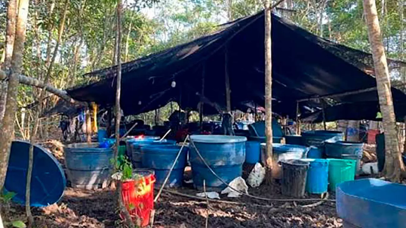 Laboratorio Pacífico nariñense