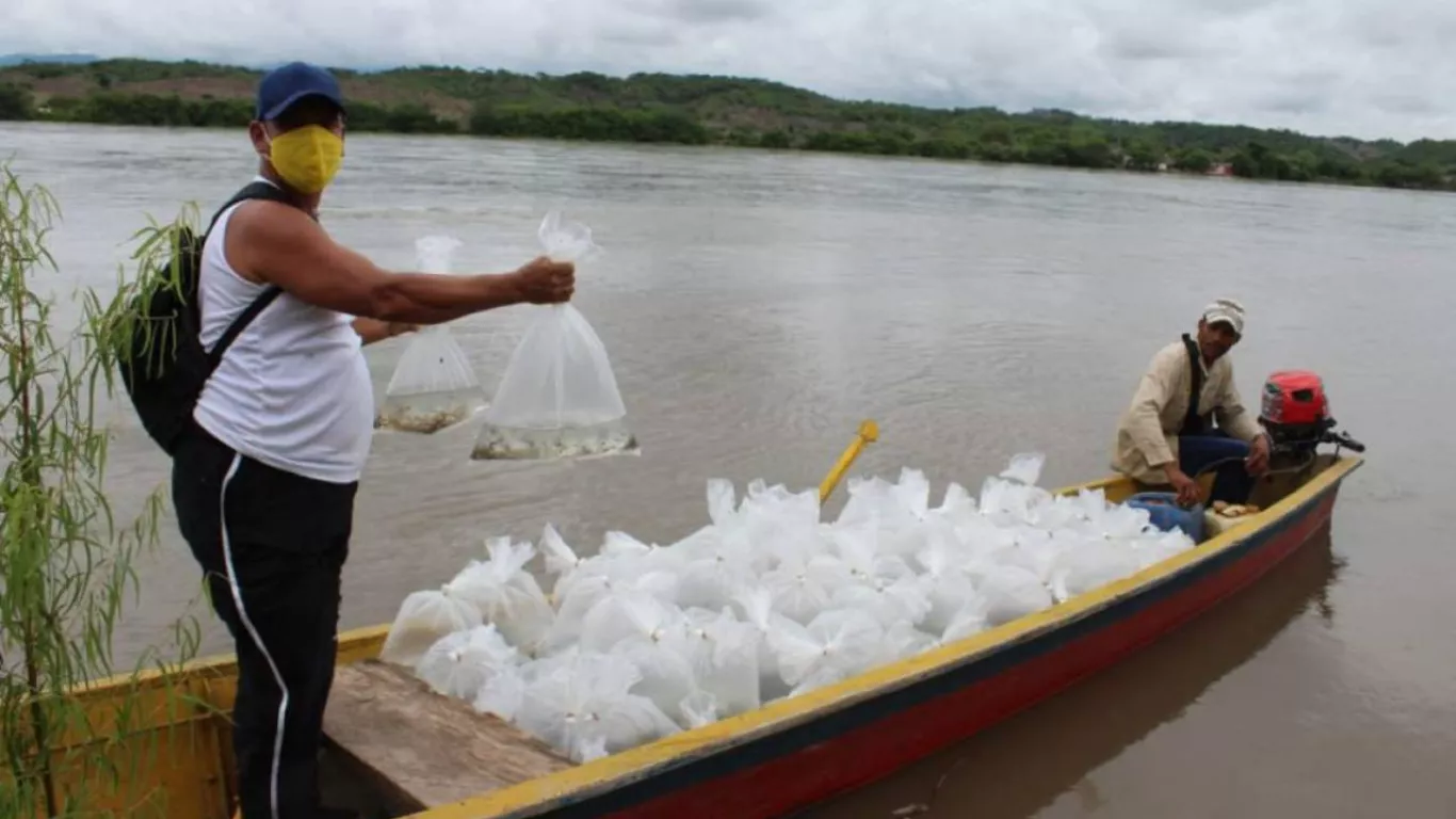 Pescadores y acuicultores en Sincelejo