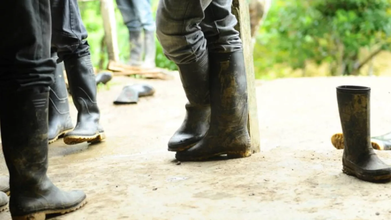 Disidencias de las Farc en territorio colombiano