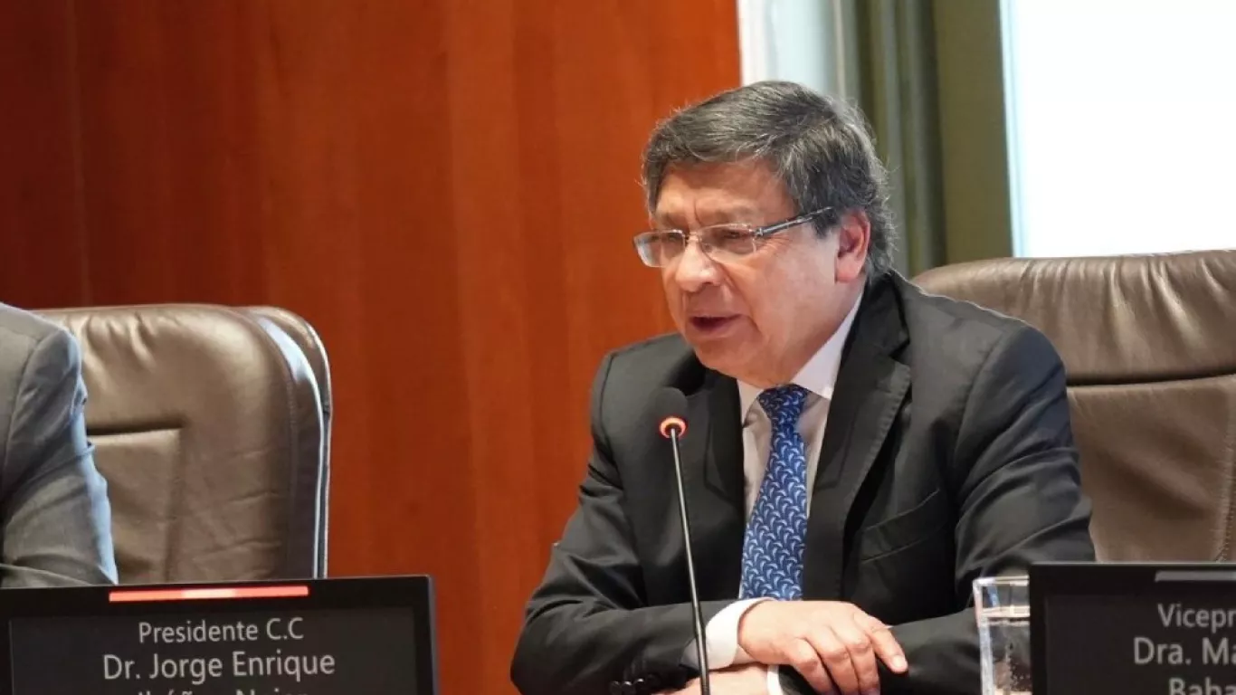 Ibañez Corte Constitucional