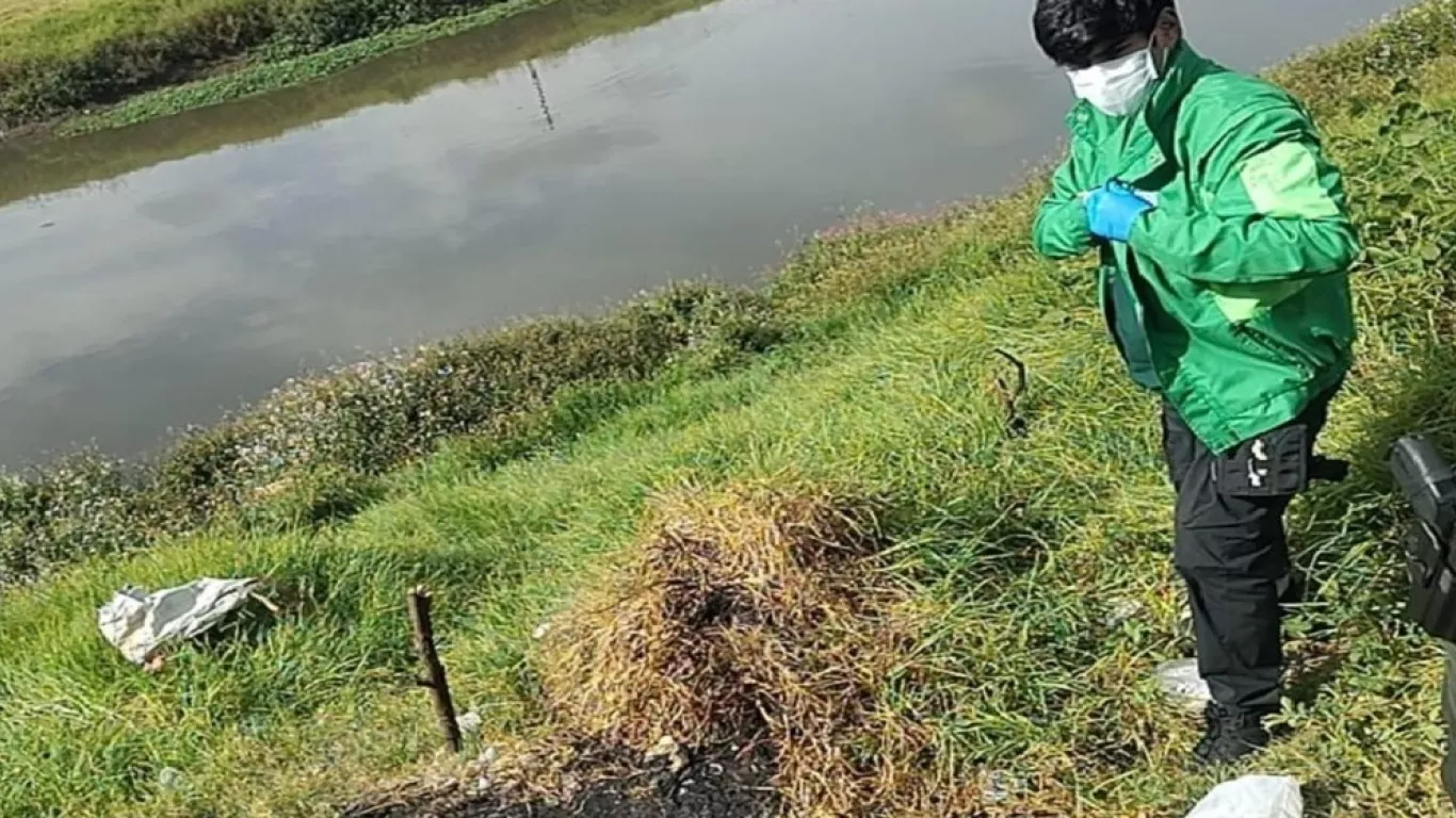 caso de perrita incinerada 