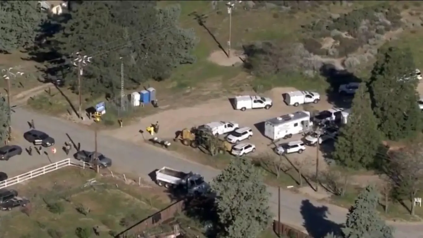  Autoridades continúan evaluando el estado de los animales y no descartan nuevas acciones judiciales.