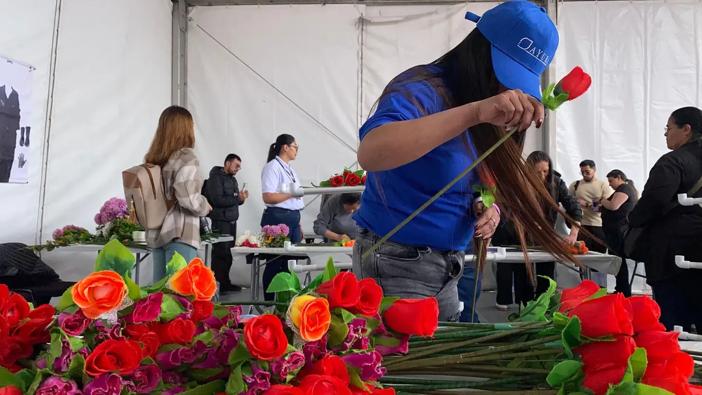 Flores colombianas de exportación