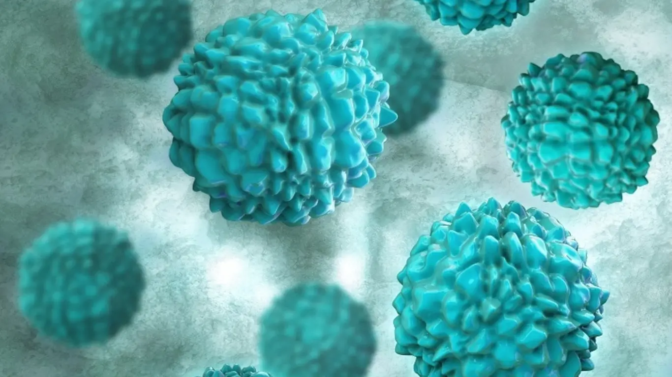 Norovirus 