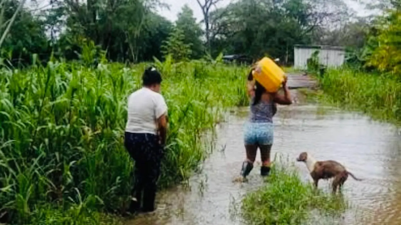 El programa contempla refinanciación de deudas, nuevos créditos y subsidios para apoyar la recuperación de cultivos e infraestructura agropecuaria afectada por las lluvias.