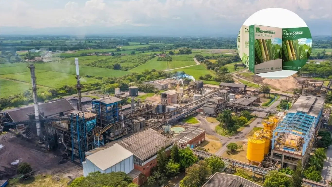 Planta de Propal en Guachené, Cauca