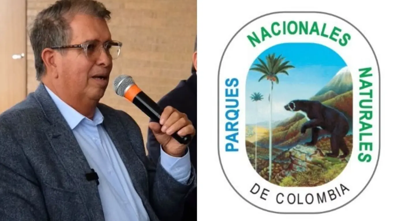Fabio Arjona alerta por aumento de la deforestación en Parques Nacionales